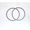 Segmento de 2mm