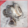 Motor Vespa 50