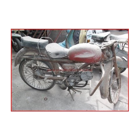 Guzzi, 73 Cardelino